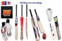 Kashmir Willow Cricket Bats