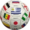 Picture of Soccer Jersey & Size 5 Soccer Ball With 2018 Qualifiers Categorized With Groups Gift For Soccer Fans (Multi Color Flags Soccer Ball)