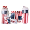 Picture of Boxing Gift Set For Kids American Theme Boxing Gloves & Punching Bag Martial Arts MMA