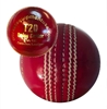 Picture of Cricket Ball T20 Daisy Cutter Red Leather for T20 Cricket Matches, Tournaments and Practice Buy Single Ball