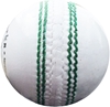 Picture of Cricket Ball T20 Daisy Cutter White Leather for T20 Cricket Matches, Tournaments and Practice Single Ball