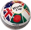 Picture of Cricket Ball World Cup History 2019 Edition (5.5 Oz Weight)