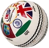 Picture of Cricket Ball World Cup History 2019 Edition (5.5 Oz Weight)