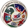 Picture of Cricket Ball World Cup History 2019 Edition (5.5 Oz Weight)