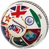 Picture of Cricket Ball World Cup History 2019 Edition (5.5 Oz Weight)