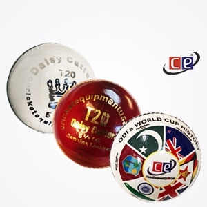 Picture for category Cricket Balls