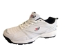 Picture of Cricket Shoe T20 Daisy Cutter By CE