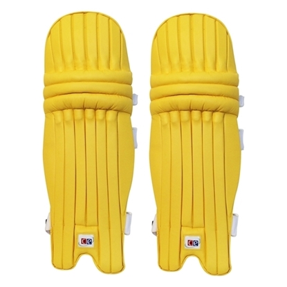 Picture of T20 Daisy Cutter Gold Yellow Leg Guards by CE
