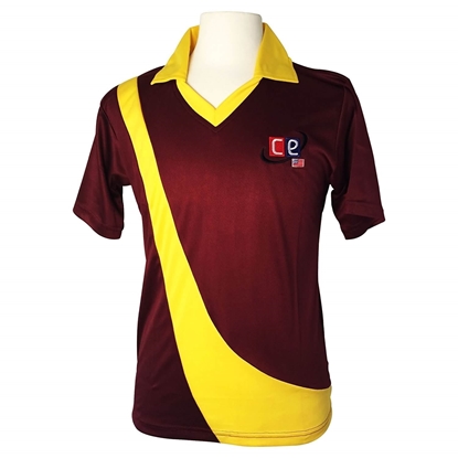 Picture of Colored Cricket Uniform West Indies Shirt