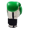 Picture of Training Boxing Gloves Men Women for Mixed Martial Arts Color Green