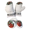 Picture of Boxing Gift Set For Kids Mexican Theme Boxing Gloves & Punching Bag Martial Arts MMA