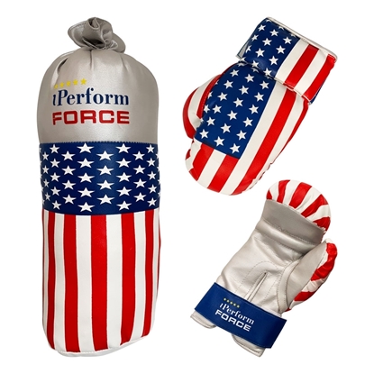Includes Set of Gloves American Flag 14.5 Inch Punching Bag 