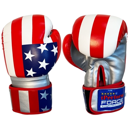 16 Oz Boxing Practice Training Gloves USA MMA Sparring Punching American Flag for sale online 