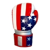 Picture of Training Boxing Gloves Men Women for Mixed Martial Arts American Flag & Russian  Flag Boxing Gloves