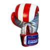 Picture of Training Boxing Gloves Men Women for Mixed Martial Arts American Flag & Russian  Flag Boxing Gloves