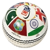 T20 World Cup Ball	