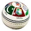 T20 World Cup Ball	