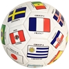 Soccer Ball Size 5 Flags	