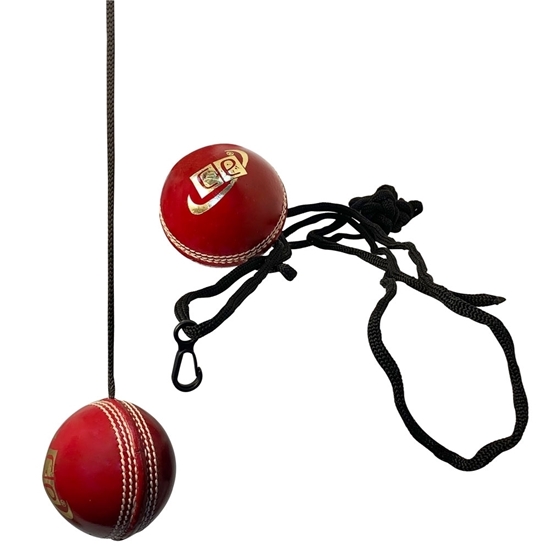 Picture of Cricket Hanging Hard Ball with Rope for Bat Stroke Knocking Batting Practice and Middling Cricket Batting Drives by CE