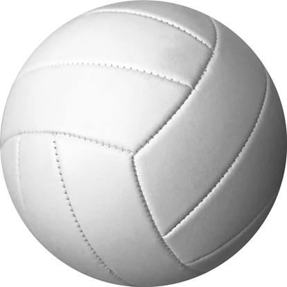 Autograph Volley Ball All White