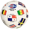 Soccer Ball Size 5 Flags