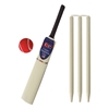 Picture of CE Kids Cricket Gift Set Young American Includes Wooden Cricket Bat Tennis Ball Stumps and Bag Size 4 &  Size 6