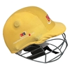 Picture of CE Cricket Helmet with Multicolor Covers Range for Head & Face Protection Adjustable Size (Golden)