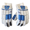 Picture of Blue Cricket Batting Gloves Men Multicolors by CE