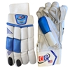Picture of Blue Cricket Batting Gloves Men Multicolors by CE