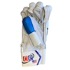 Picture of Blue Cricket Batting Gloves Men Multicolors by CE