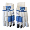 Picture of Blue Cricket Batting Gloves Men Multicolors by CE