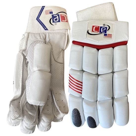 Picture of Sting Cricket Batting Gloves Mens Multicolors by CE