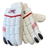 Picture of Sting Cricket Batting Gloves Mens Multicolors by CE