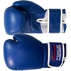 Picture of Training Boxing Gloves Men Women for Mixed Martial Arts Color Blue